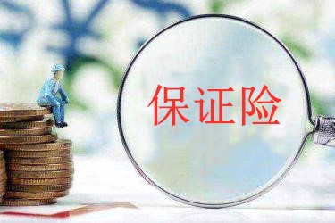 淘宝材质保证险是什么意思